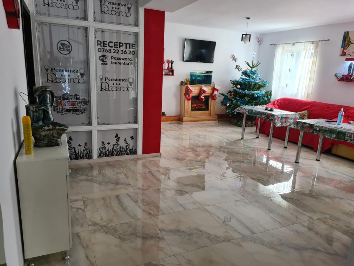 Pensiunea Riccardo Brašov Exteriér fotografie